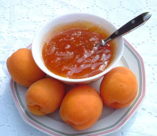 Aprikosenmarmelade | Mamas Rezepte - mit Bild und Kalorienangaben
