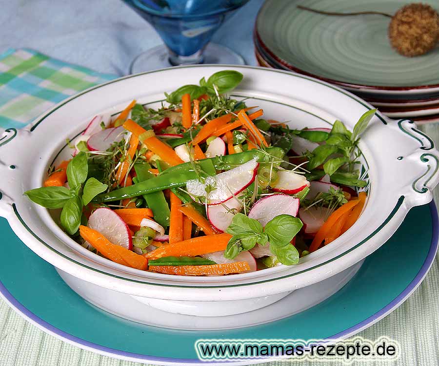 Bunter Zuckerschoten Salat | Mamas Rezepte - mit Bild und Kalorienangaben