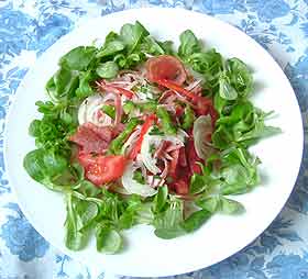 Bild von Ungarischer Salat