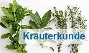 Kräuterkunde