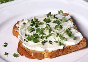 Chia Sprossen auf Brot