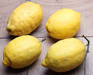 Zitronen Rezepte